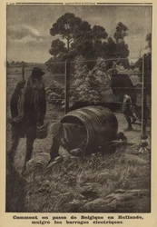 Belges utilisant un tonneau pour contourner une clôture électrique installée par l