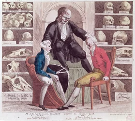 Caricature de William Pitt le Jeune (1759-1806) et de Gustave IV Adolphe (1778-1837) visitant Sr. Franz Joseph Gall (1758-1828) 1806