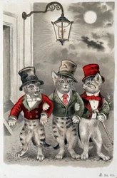 Chats en situation - carte postale début 20ème siècle