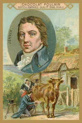 Carte commerciale Chocolat Poulain, Edward Jenner