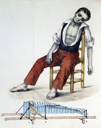Cholera Morbus, de Relacao, Historica, Statistica e Medica da Cholera-Morbus par Francisco d