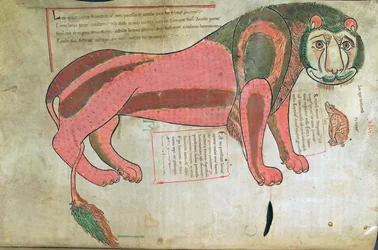 Le lion et le cochon, du Liber Floridus par Lambert de Saint-Omer vers 1120