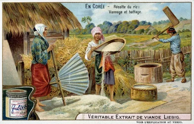 Corée : récolte du riz, tissage et battage - chromo. Liébig, v.1900