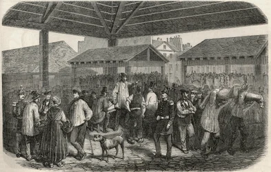 Criée de la viande de boucherie au marché de la rue des Prouvaires dans le 1er arrondissement de Paris - Gravure dans « Tableau-de-Paris » par Edmond Texier 1852
