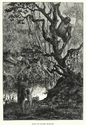 Dans ce jardin céleste