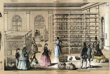 La culture et les produits de la soie : au centre la magnanerie avec les différentes étapes de la sériciculture. Planche « la soie » dans « les Récréations instructives »