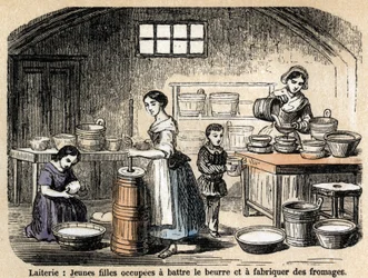 Description des divers métiers et produits du mouton : jeunes laitières fabriquant du beurre et des fromages dans une laiterie. Planche "Les moutons" dans "Les Récréations instructives" par Jules Delbruck