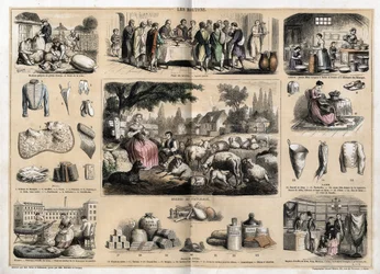 Description des divers usages et produits des moutons : tonte des moutons, agneau pascal servi comme plat traditionnel à Pâques, jeunes laitières fabriquant du beurre et des fromages ; produits en tapisserie et laine, tasses, pantoufles, bas en laine, vend