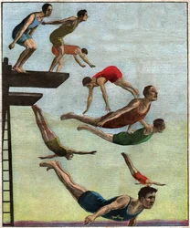Plongée