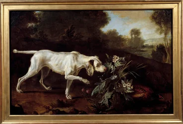 Le chien s