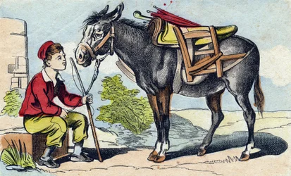 Âne. Gravure dans "Buffon Alphabet des Animaux". 3e Série N 1. Imagerie d