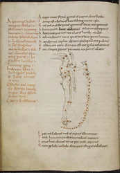 Dessin de la constellation du Verseau, avec les étoiles représentées par des points rouges, du 