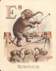 E: Éléphant, équilibriste intrépide, agile et plein de grâce, détend à peine la corde dans l