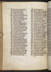 Egerton MS 881 f.65v, Guillaume de Lorris et Jean de Meun, Roman de la Rose