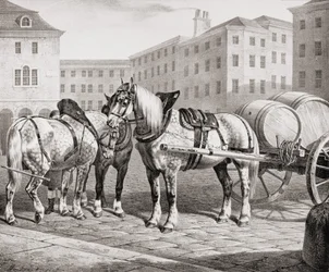 Chevaux de Ferme Anglais, 1823