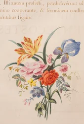 Évangéliaire