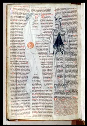 Un homme et un squelette, d
