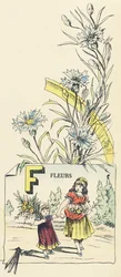 Fleurs