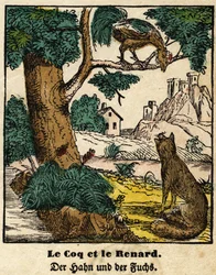 Fables de La Fontaine : le coq et le renard. Image d