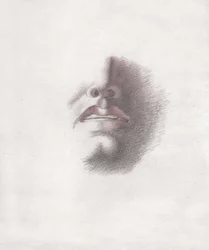 Visage d