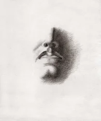 Visage d