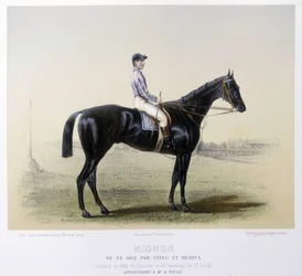 Cheval de course célèbre - dans « Le Centaure » 1866