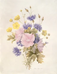 Fleurs des champs, 1842