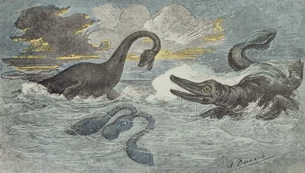 Combat entre un plésiosaure et un ichtyosaure durant la période liasique ou jurassique (il y a 208 à 146 millions d