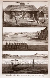 Pêche, harengs et sardines - « La Grande Encyclopédie, ou Dictionnaire Raisonné des Sciences, des Arts et des Métiers » par Denis Diderot