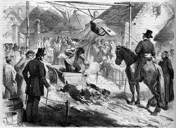 Joutes flamandes, Bruxelles (Belgique)