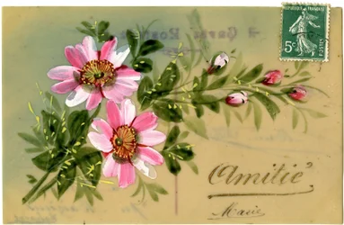 Salutations avec plante florale. Carte postale début du XXe siècle.