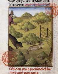 Chasse au lièvre - dans "Livre de chasse de Gaston Phoebus, Comte de Foix, Seigneur de Béarn"