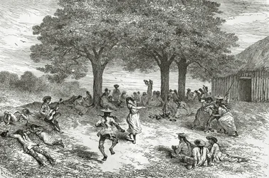 Récolte de coca, Pérou, illustration de la revue Le Tour du Monde, 1877