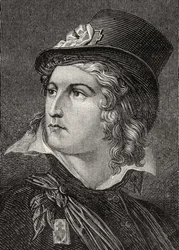 Henri du Vergier, Comte de la Rochejaquelin, de 