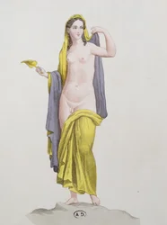 Hermaphrodite, d