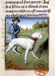 Chien de chasse tenu en laisse - dans "Livre de chasse de Gaston Phoebus, Comte de Foix, Seigneur de Béarn"