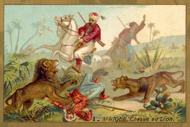 Chasse au lion en Afrique