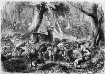 Scène de chasse