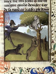 Scène de chasse avec un lynx - dans "Livre de chasse de Gaston Phoebus, Comte de Foix, Seigneur de Béarn"