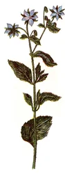 Illustration for "Mon docteur - traite de medecine et d