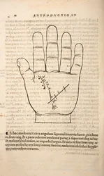 Illustration de Chiromantia par Joannes Indagioe, Strasbourg, 1531