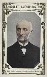 Jules Méline, Sénateur ancien Ministre