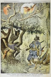 Chasse aux oiseaux de paradis, Nouvelle-Guinée