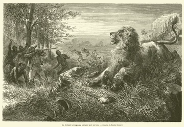 Le docteur Livingstone terrassé par un lion