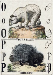 Lettre O Ours; P Porc-épic. Gravure dans "Alphabet des animaux sauvages". 9e Série. Imagerie d