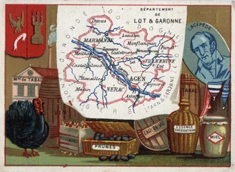 Lot-et-Garonne (47), Aquitaine, France. Usine de tabac, élevage de dindes, vin, bouchons, prunes, eau-de-vie, essence de térébenthine. Portrait de Bernard Germain Étienne de Laville-sur-Illon, Comte de Lacépède