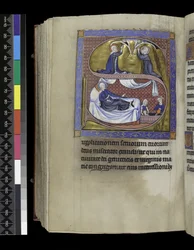 MS 300 f.271v, Collectes, sermons et leçons pour la Nativité de la Vierge, du Psautier et Heures d