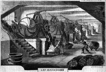 Manufacture des tabacs, Paris