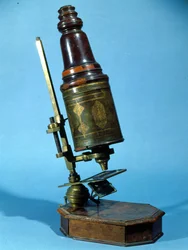 Microscope (bois et laiton)