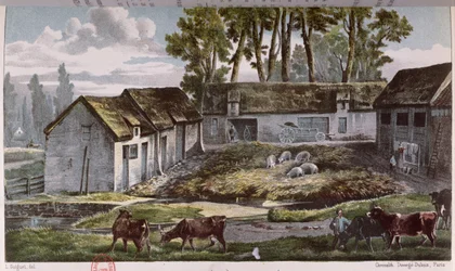 Ferme de M. Vandercolmes à Armbouts-Cappel (Nord) avant l